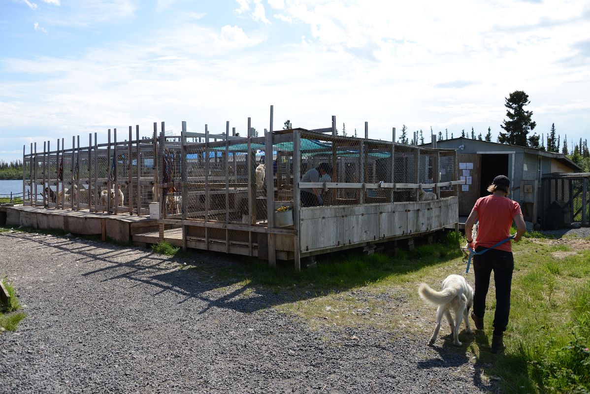 34A White Husky Dog Kennel At The Arctic Chalet in Inuvik Northwest Territories